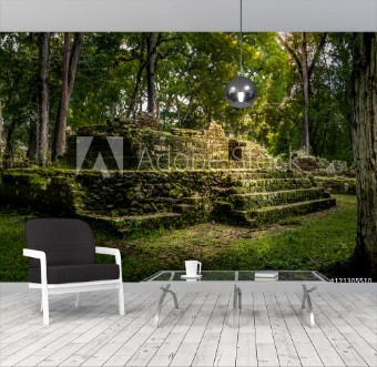 Picture of Ruins of residential area of Mayan Ruins - Copan Archaeological Site Honduras